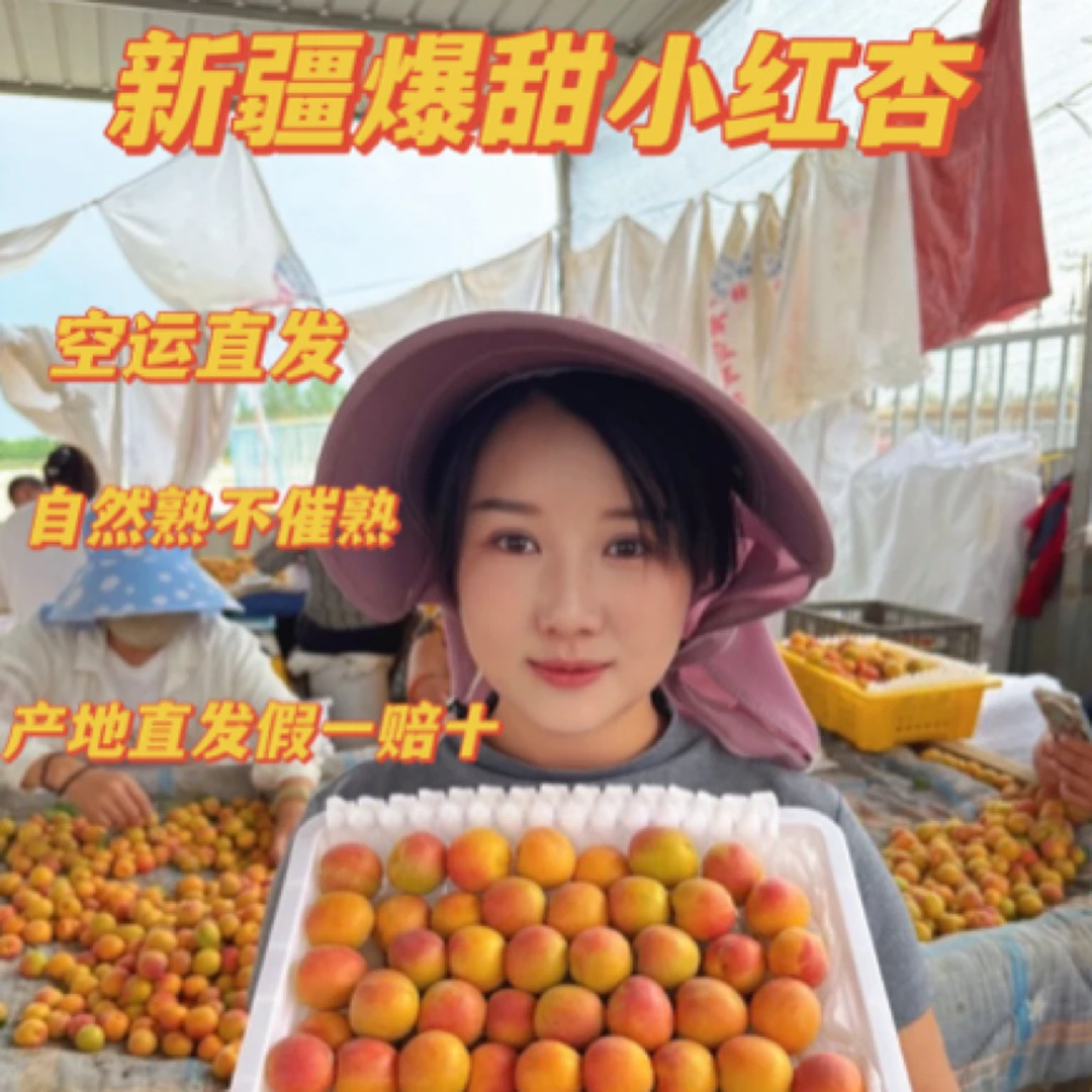 新疆小红杏吊干杏新鲜应季甜杏现摘孕妇水果顺丰包邮