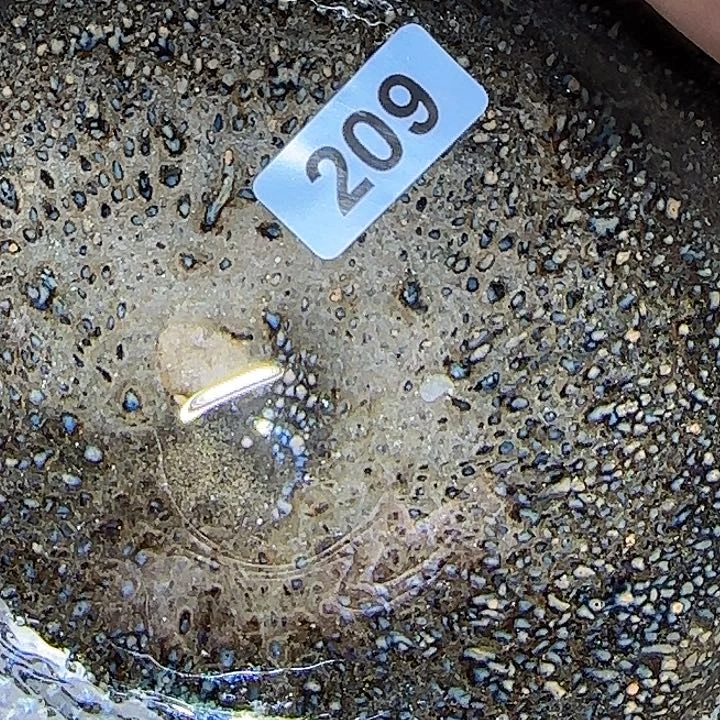 茶盏阳***0你自己注嘛啊哈哈你就