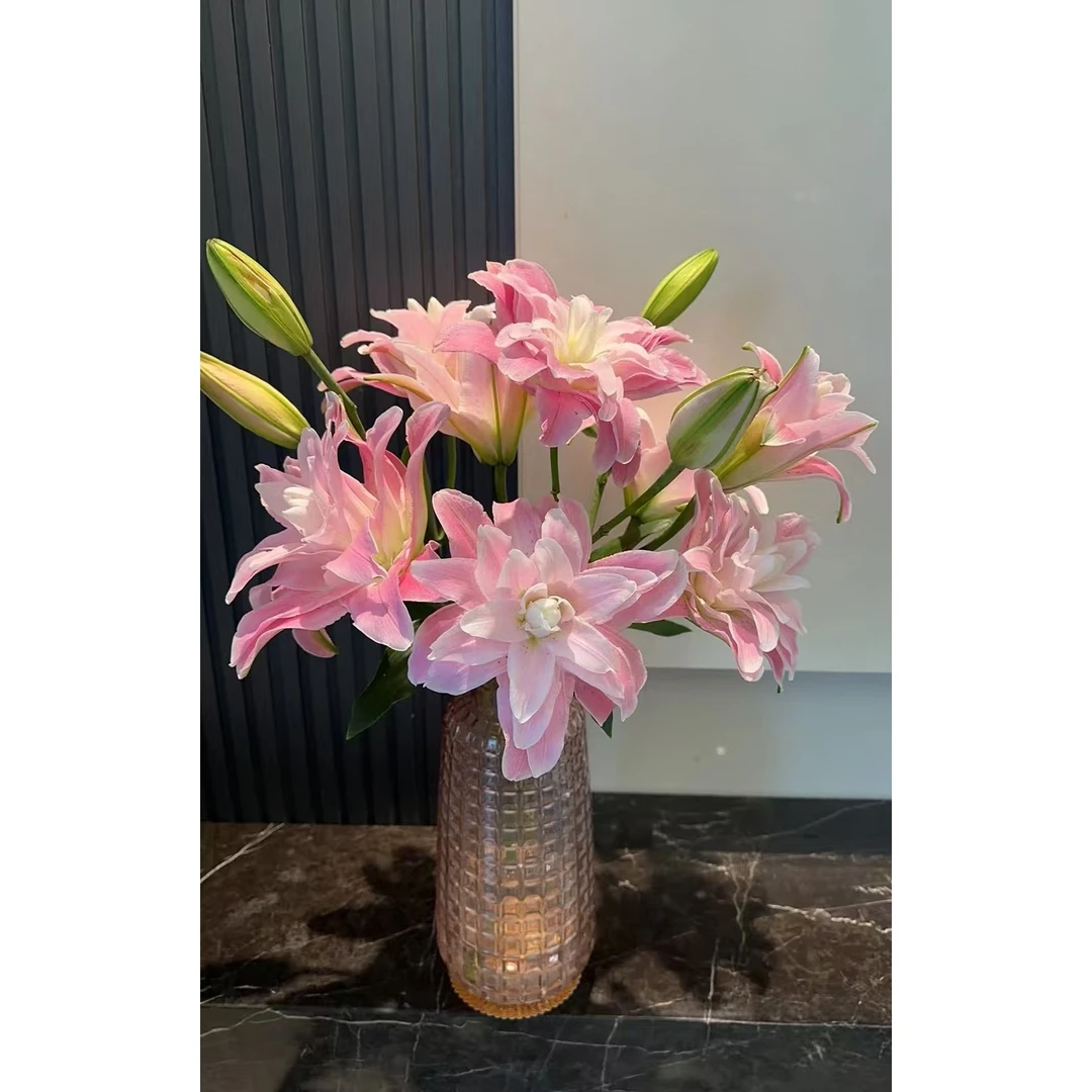 莲花雅致粉色重瓣百合  云南基地鲜花直发  家养水养