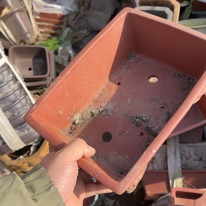 一哈来不急不快点哦亲爱我到学校