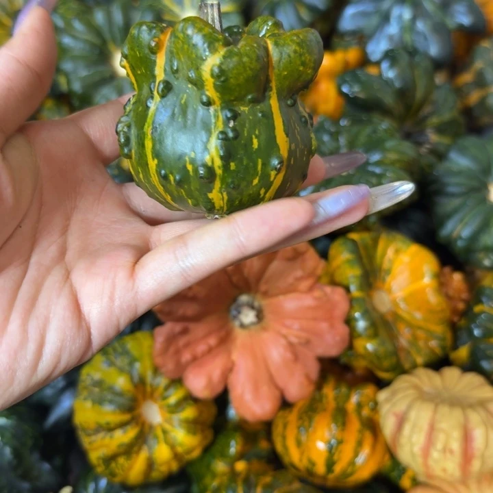 虎***间嗯饿哦饿哦饿哦饿哦饿哦