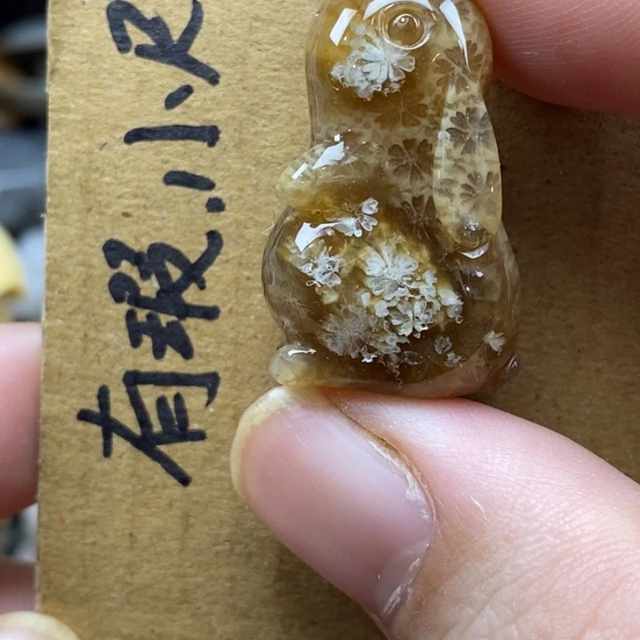 硅化珊瑚（珊瑚玉）未镶嵌颈饰