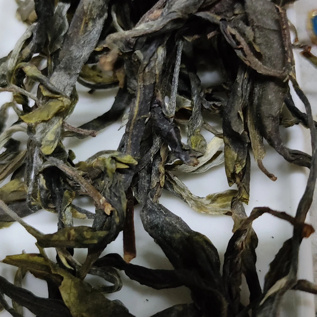 2025年通天香冰岛古树大单株10克装1600年树龄这千年古树吊着