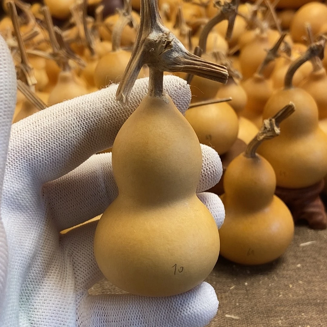 文玩葫芦 完美主义者 慎拍70