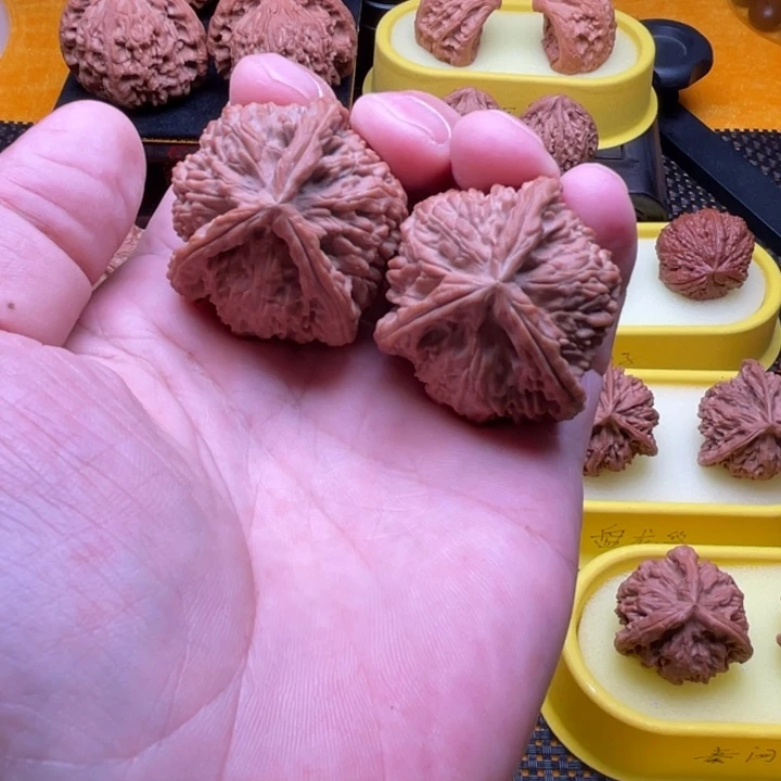 许***恙核桃白狮子三棱 全品