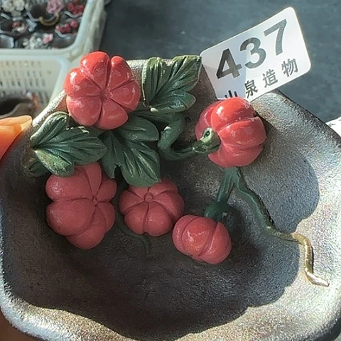 瓷片柴烧柴烧柴烧437