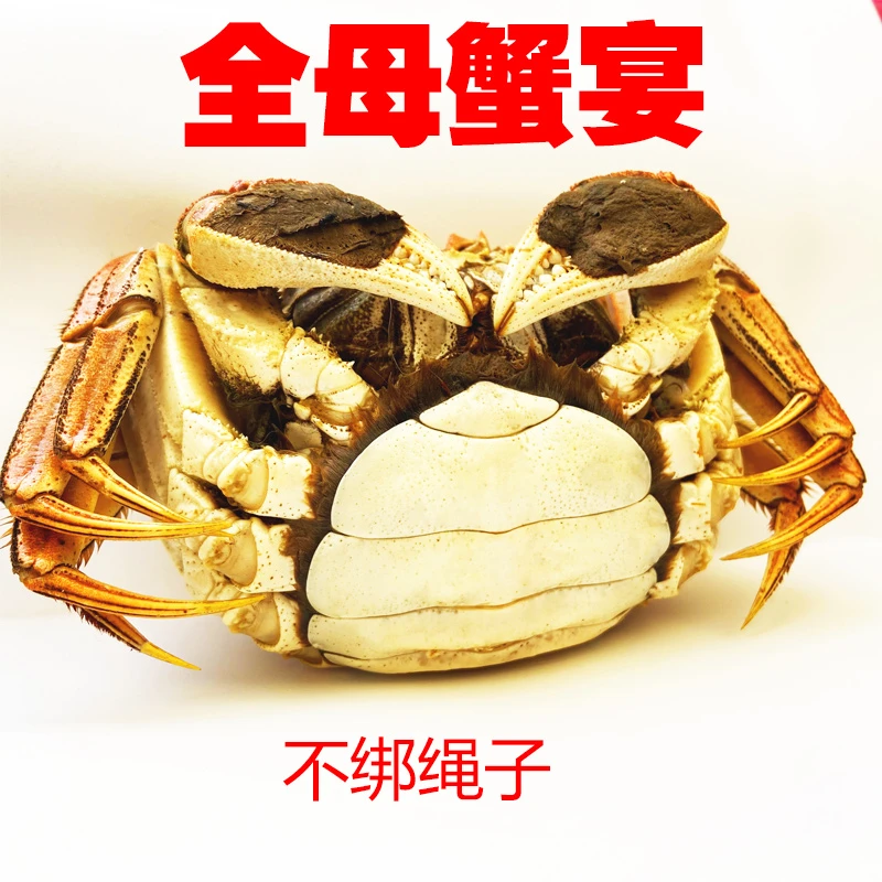活蟹江苏蟹农直发全母蟹1.8-1.5两8只送2只顺丰京东冷链包邮