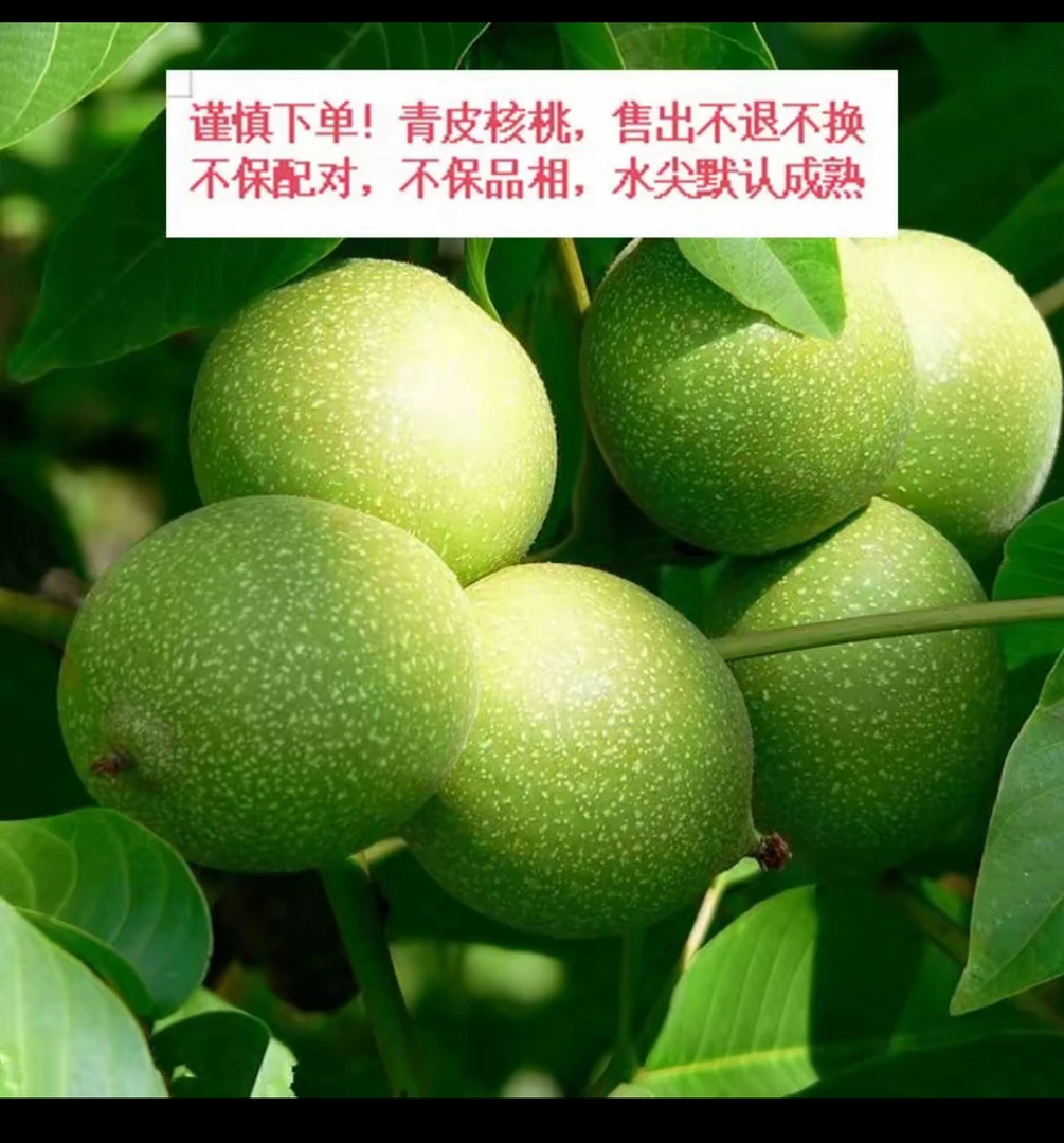 文玩核桃盘山公子帽青皮不退不换