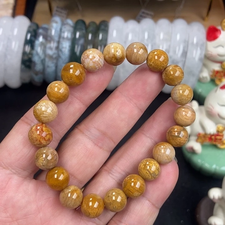 未镶嵌手镯硅化珊瑚（珊瑚玉）