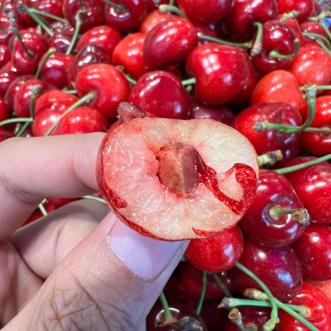 【鲜果】大连陆地沙蜜豆樱桃1斤J其他品种