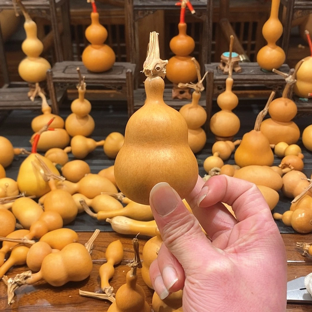 贾****特哈哈哈哈哈哈哈哈哈哈哈哈