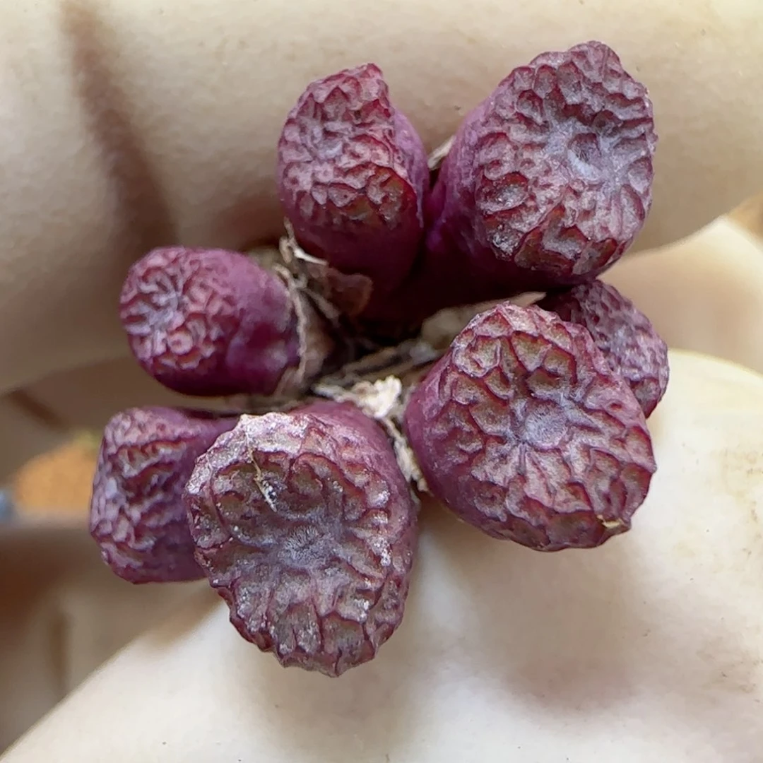 940福利福利福利