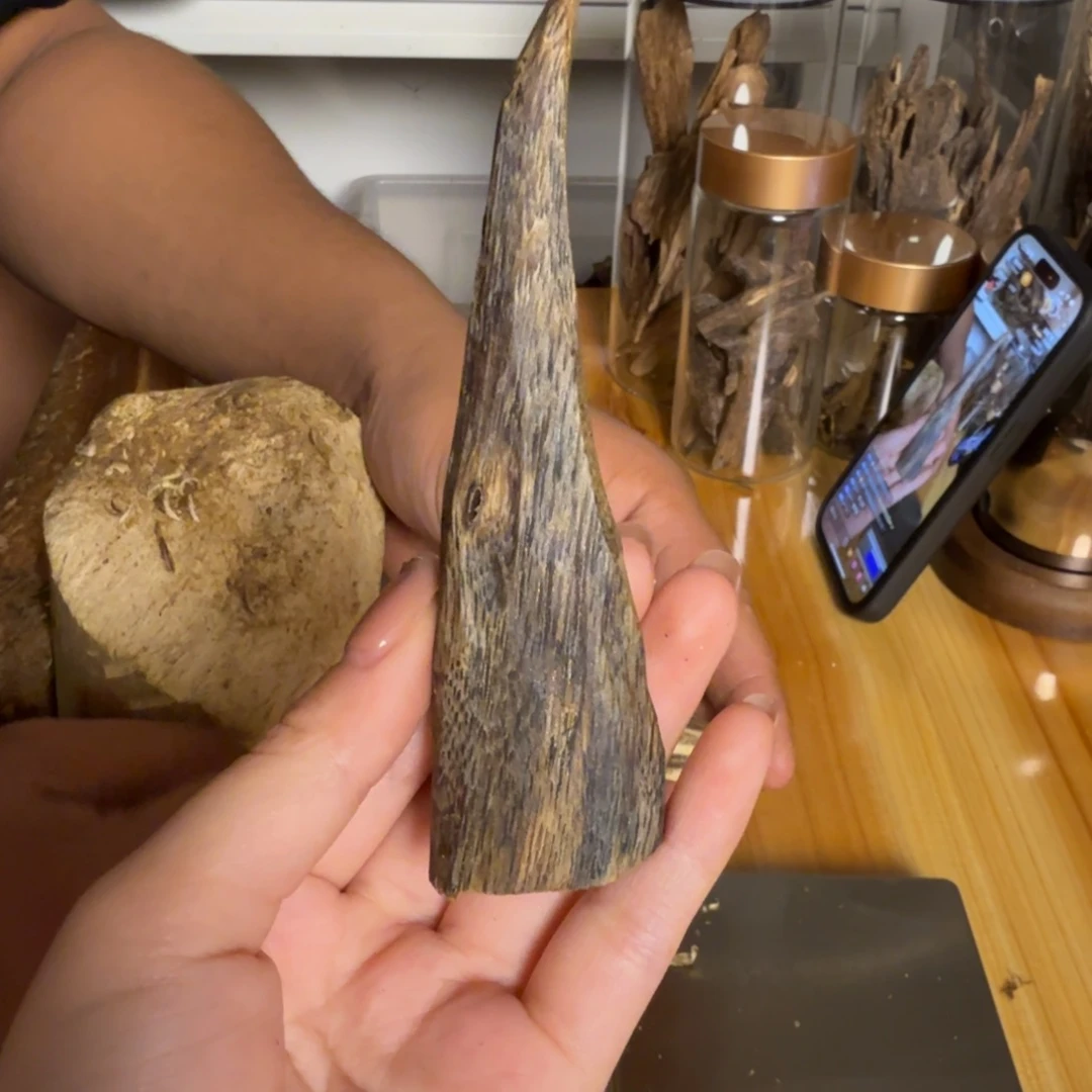 沉香白奇淳化虫漏老料10.9克