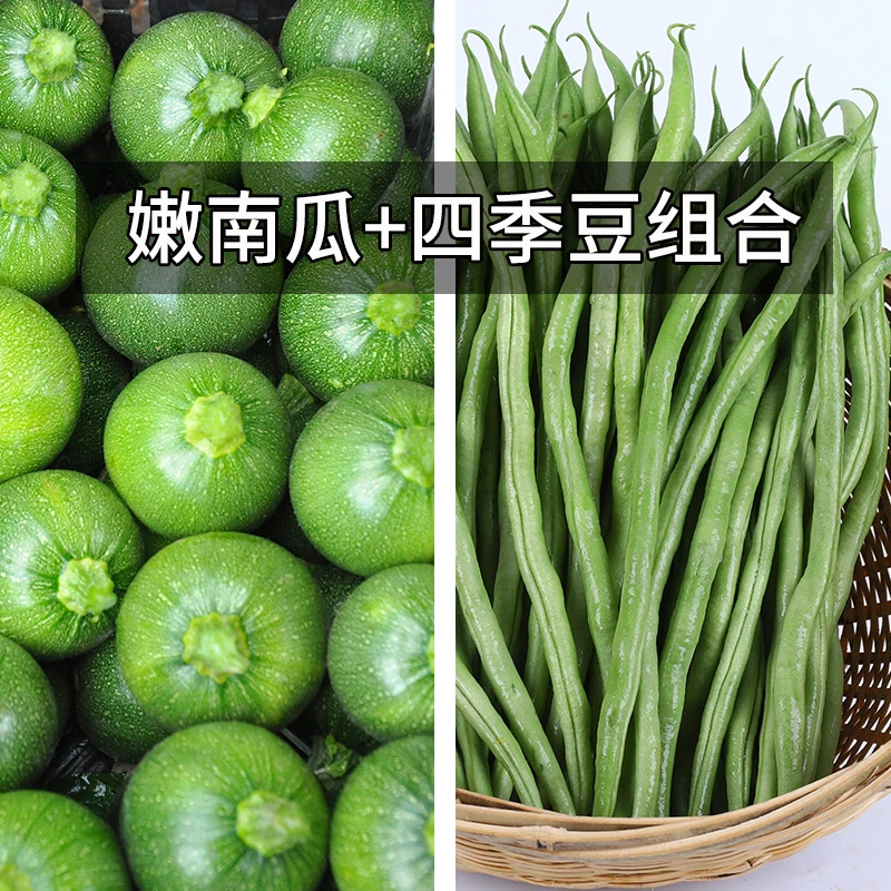 云南新鲜蔬菜组合装 嫩南瓜四季豆组合 小南瓜小金豆