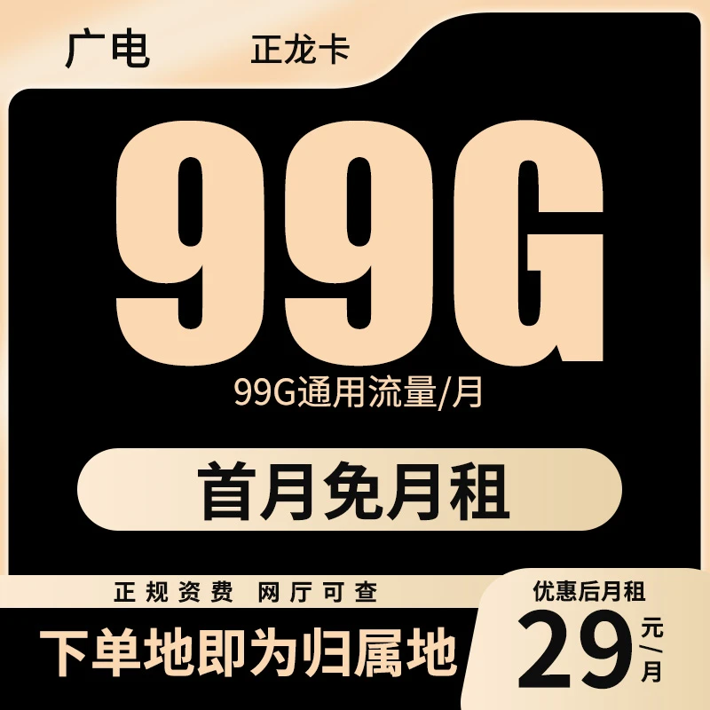 大流量卡正龙卡5g电话卡不限速手机卡全国通用手机卡正规流量卡