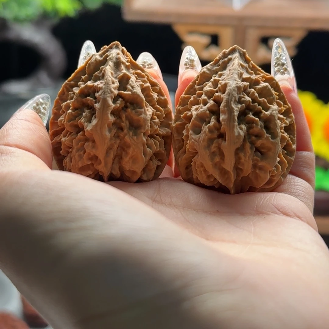 文玩核桃把件关东木子楸百核22