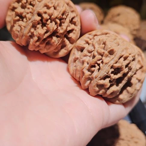 吊坠文玩核桃46四座楼