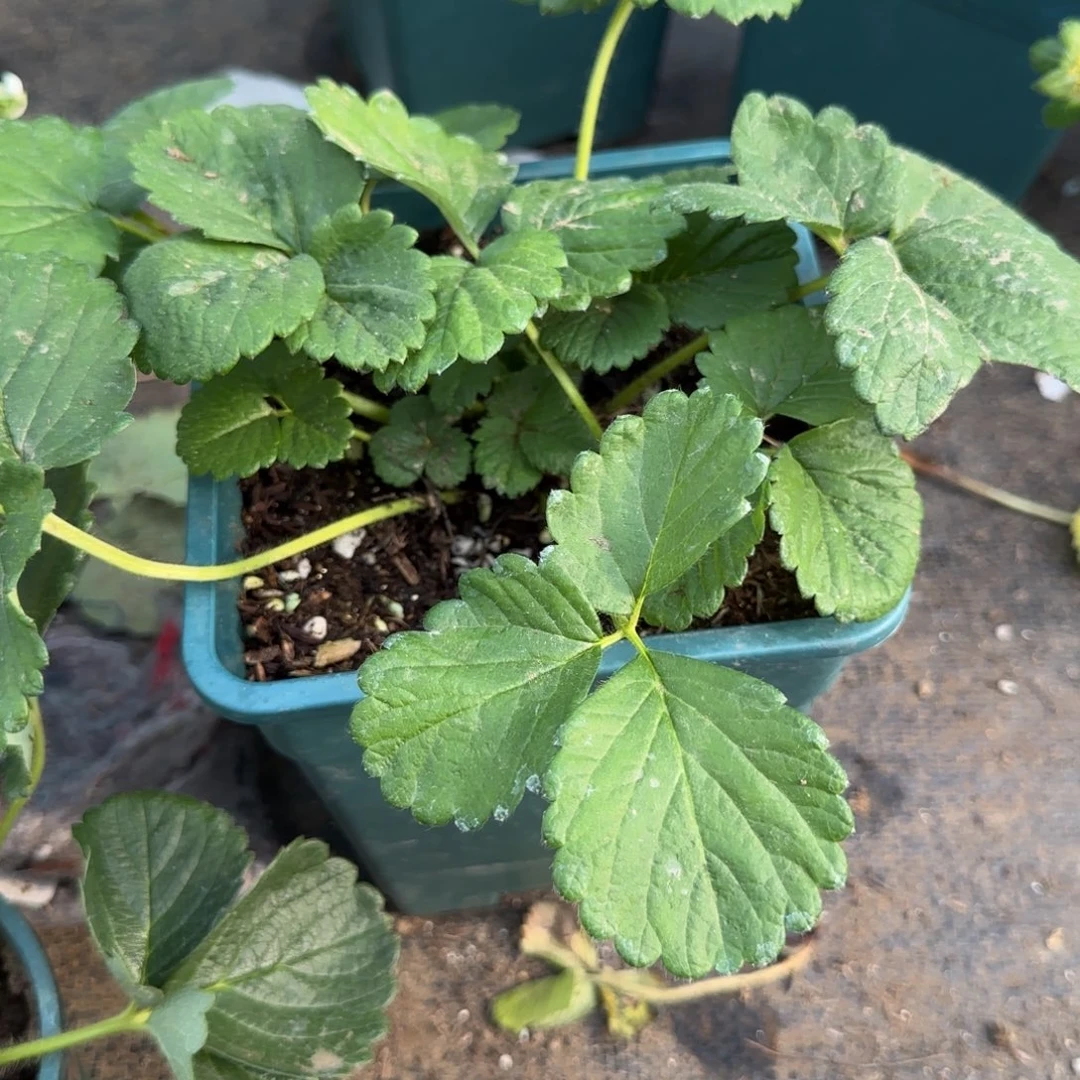 笨***兽完全开放建德白露