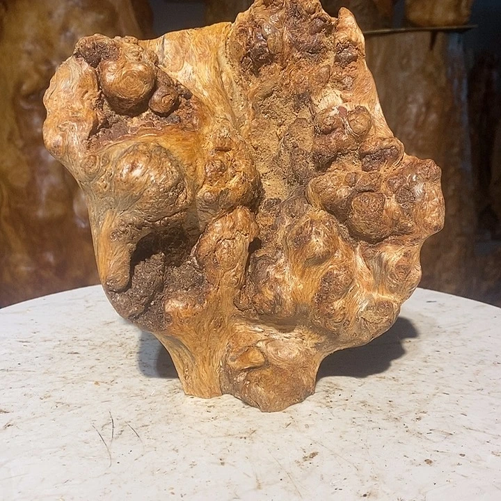 我们都是你的粉丝