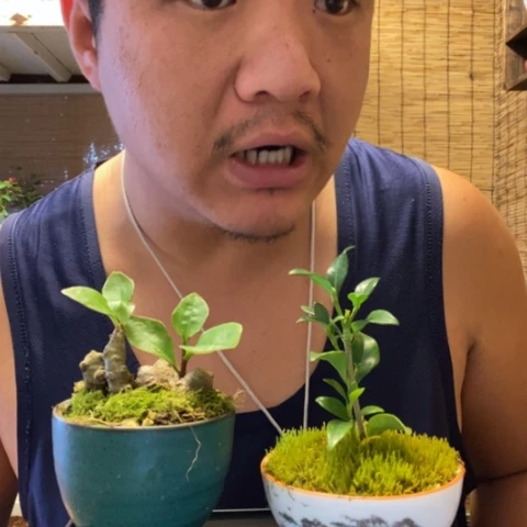 红陶S****a一物一拍所见即所得156