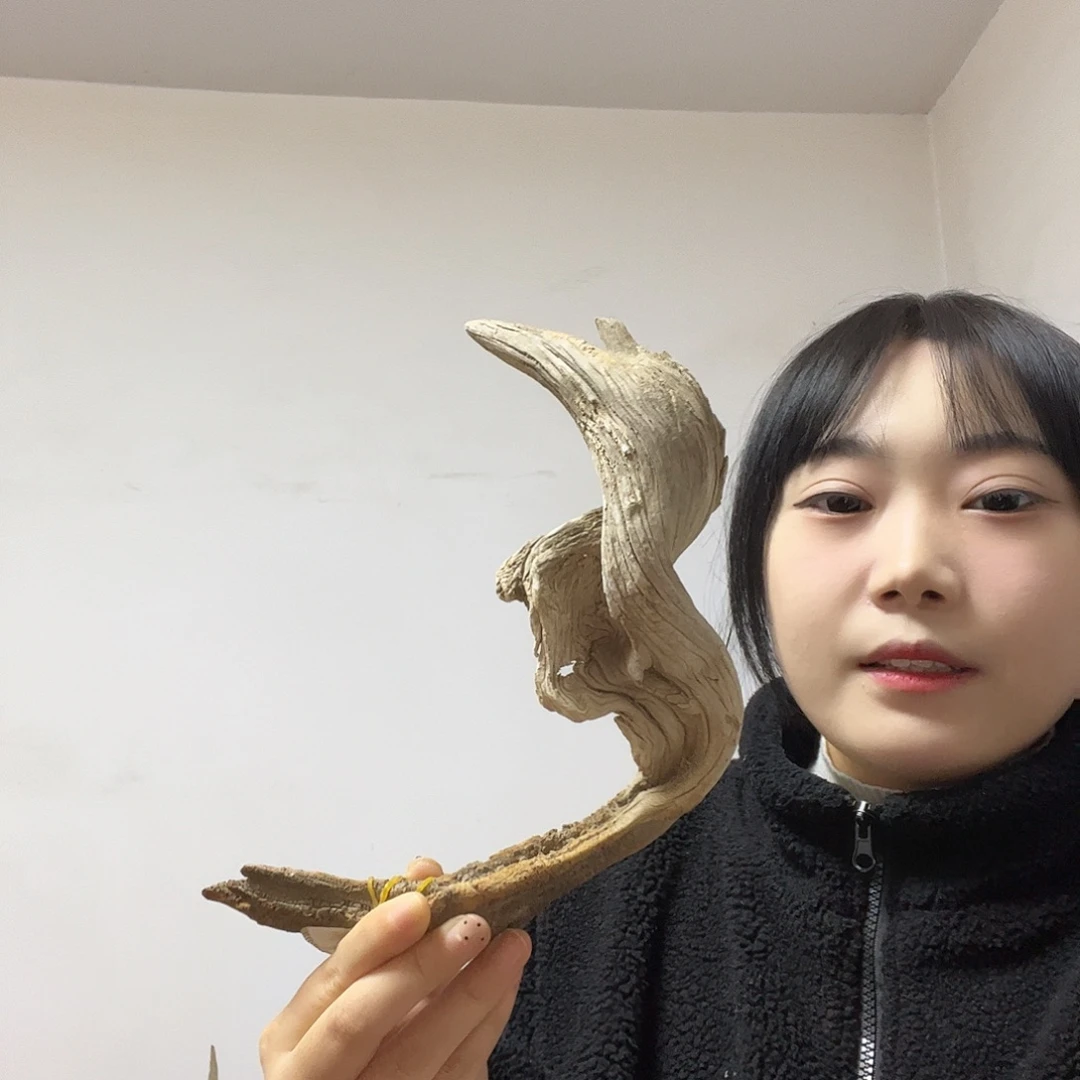 可***颂柏木（崖柏）这个世界上最好的朋友