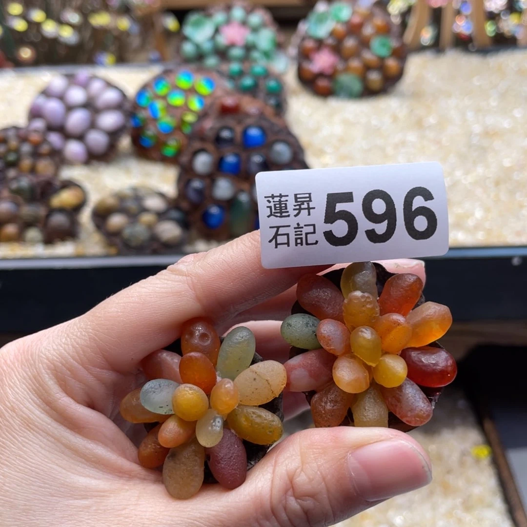 核桃木/黑胡桃（胡桃木）安****子596