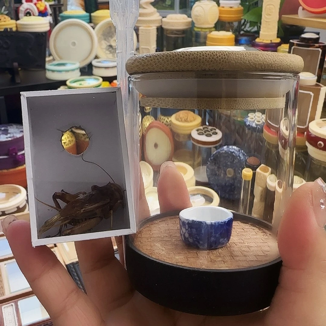 玻璃生态➕紫油啊啊啊