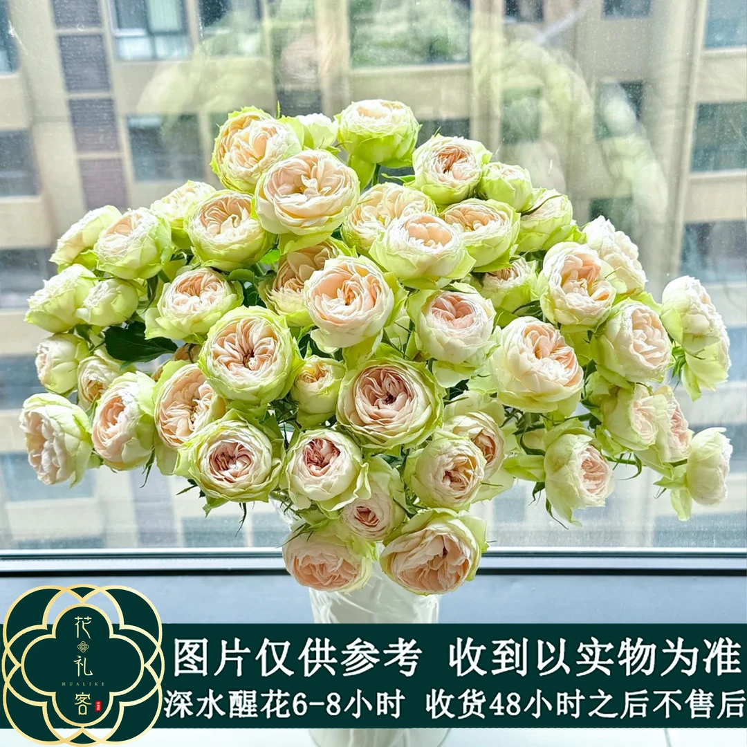 七叶花坊# 【达林】高品质鲜花 顺丰直发