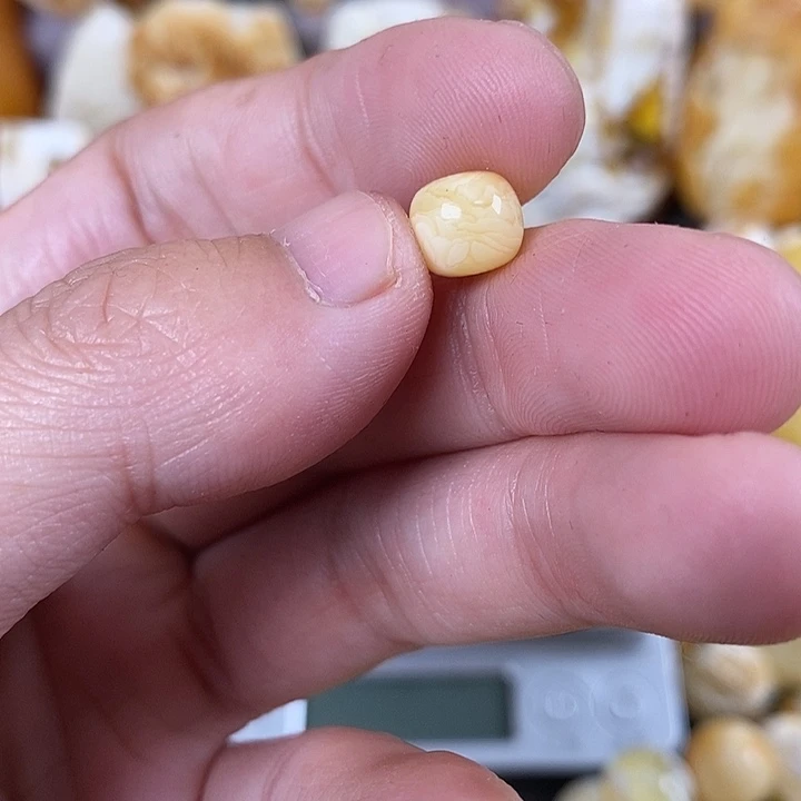 琥珀未镶嵌珠宝奇石我