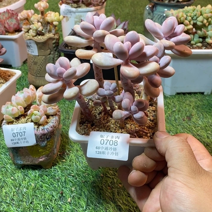 0708啊啊啊啊啊啊啊啊啊啊