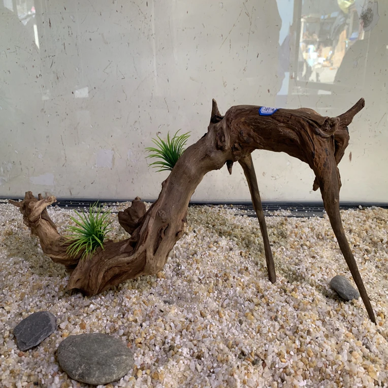 寄居蟹造景沉木尺寸，48 14 22