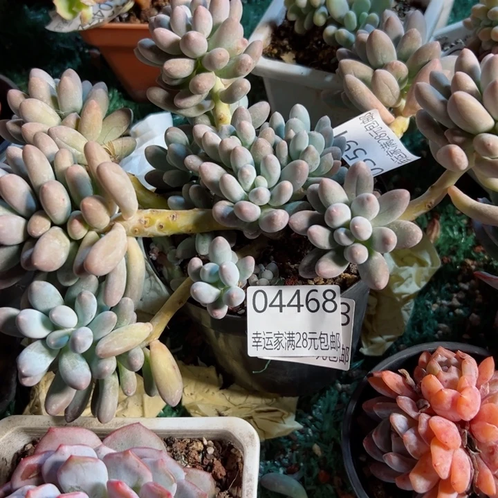 幸运的是我还没遇到