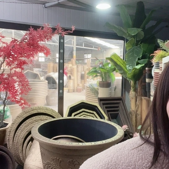 复合盆景8568855988