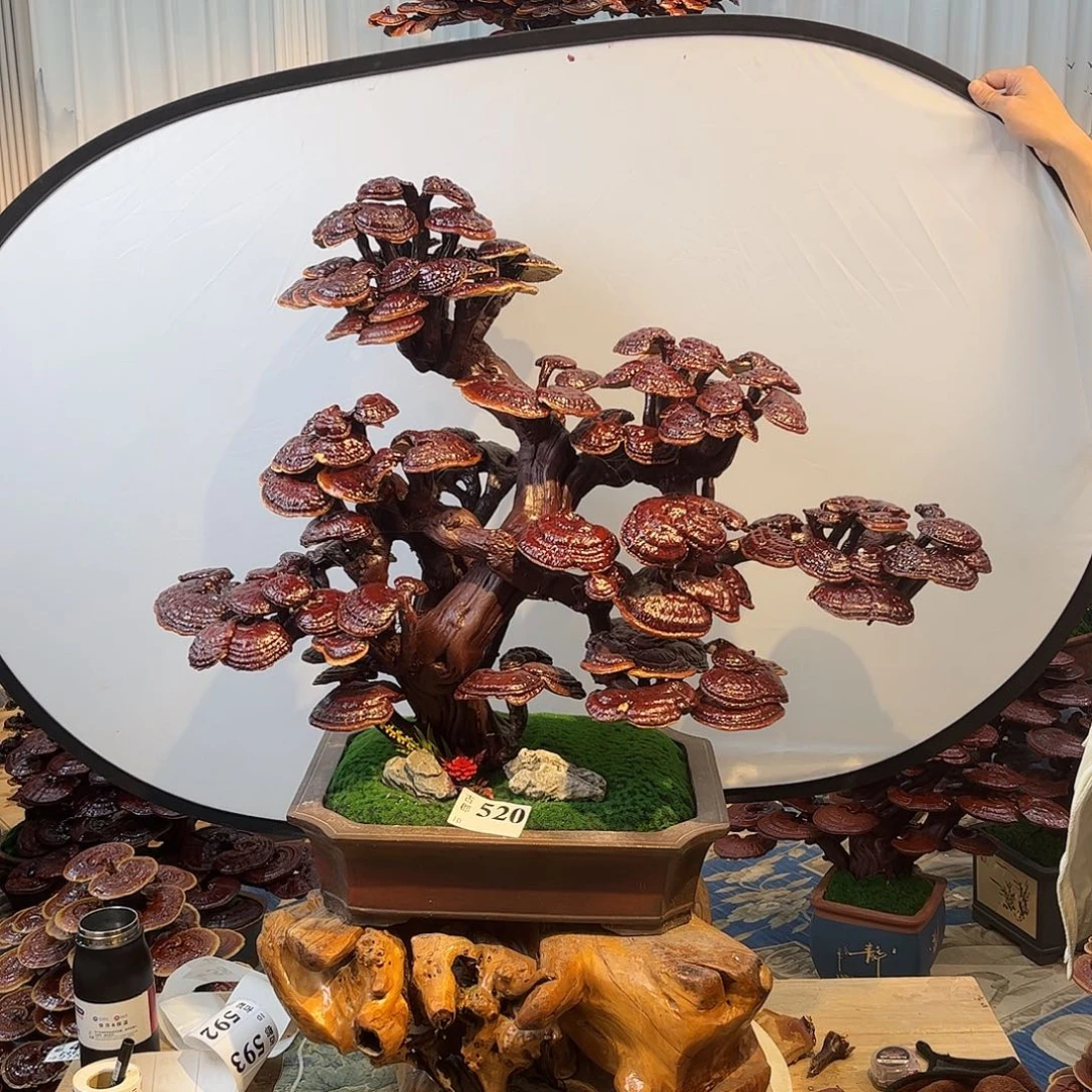 无花朵8888888888888