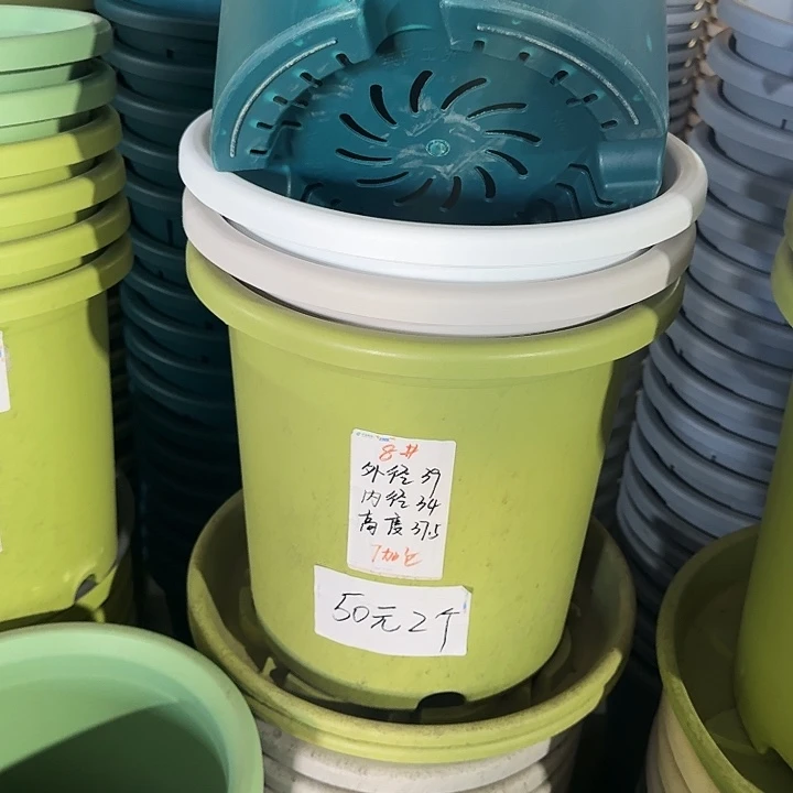 四季8#口径39果绿5个无托