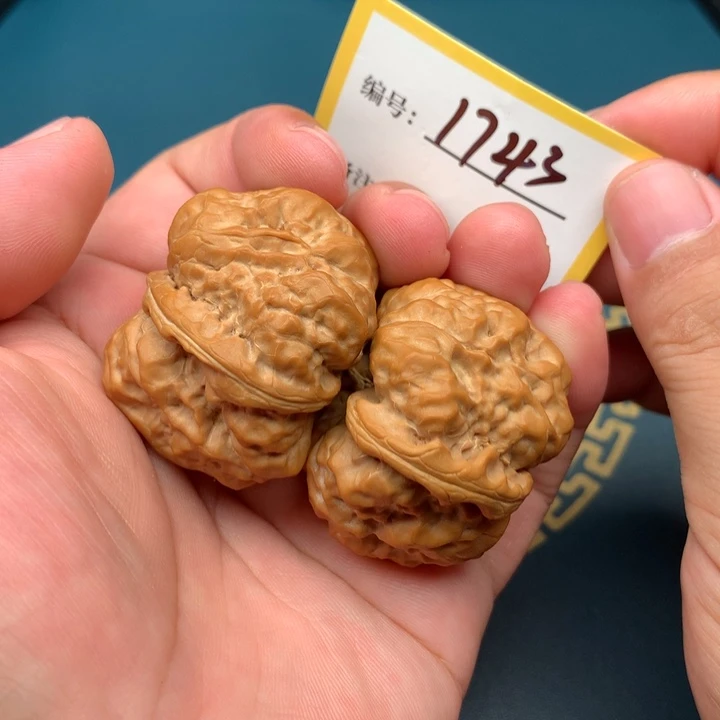 文玩核桃把件43蛤蟆1743