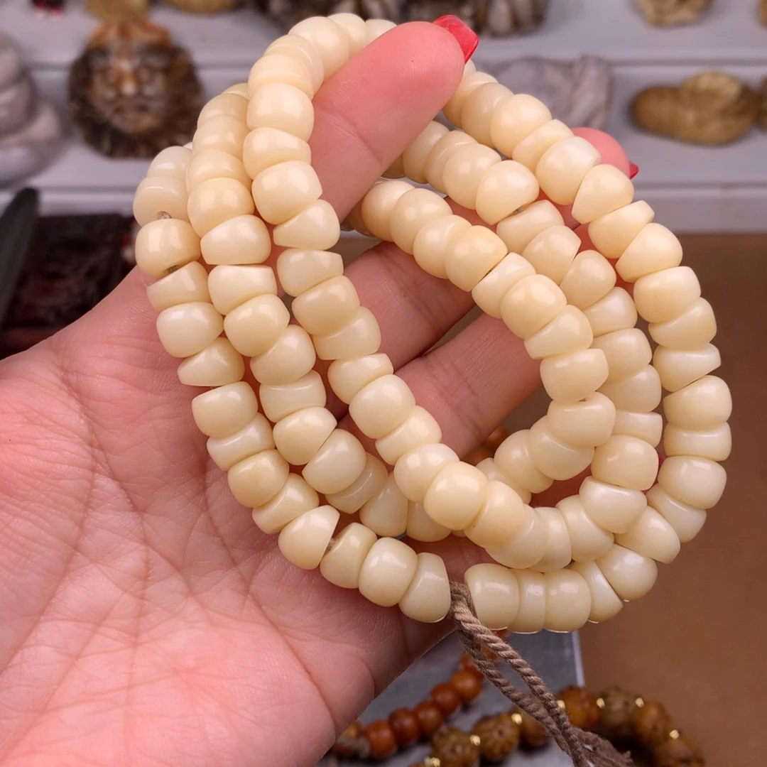 其他驼骨人工养殖驼骨