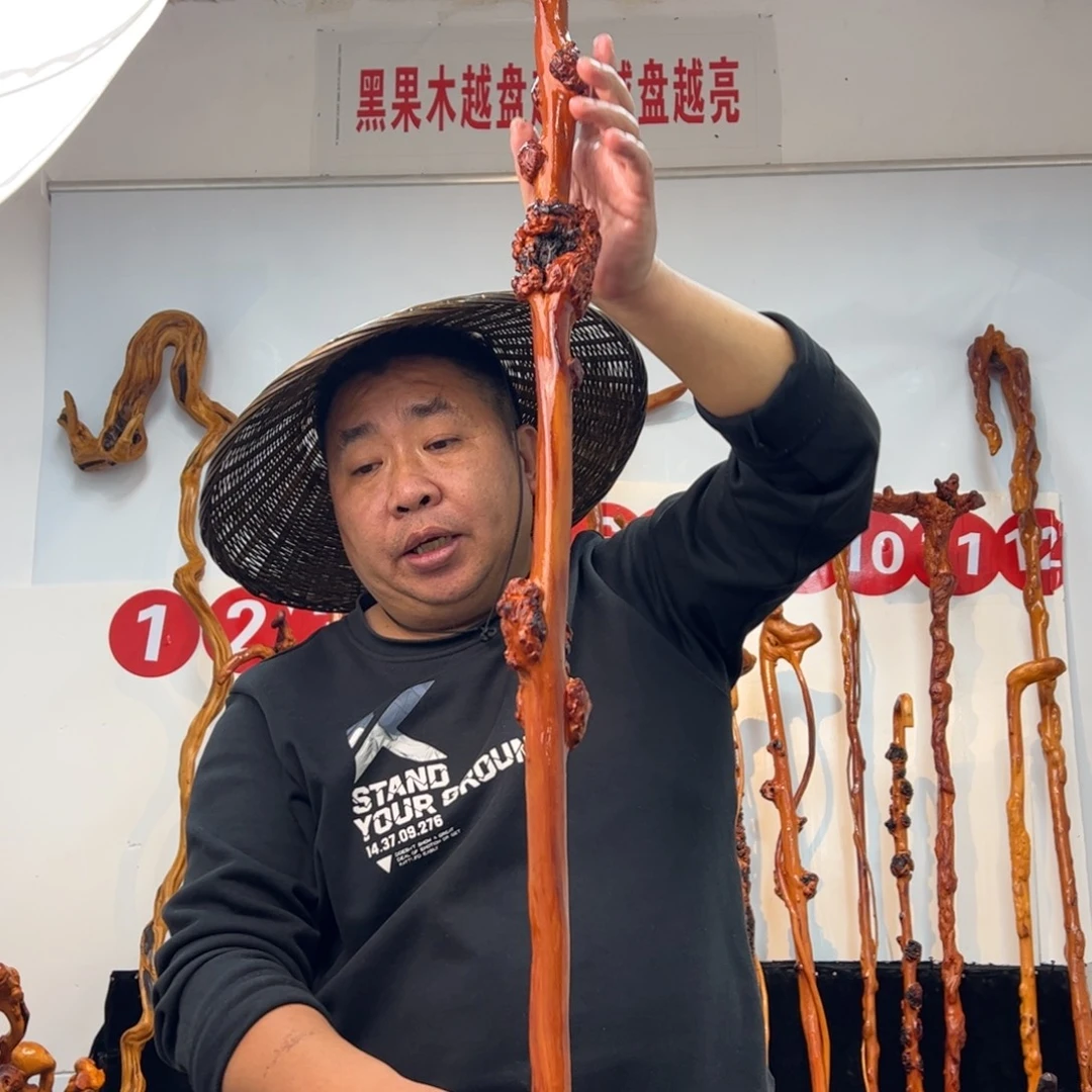 用***1其他黑果木黑果木560