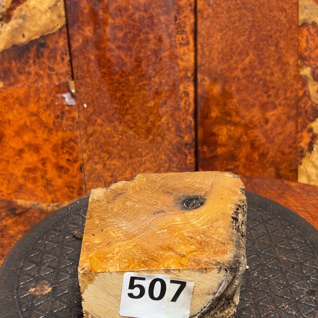 大果紫檀（缅甸花梨）