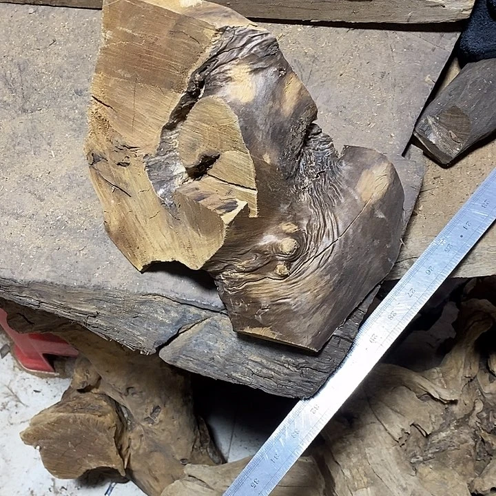 乌木类肥**石金丝楠木小叶