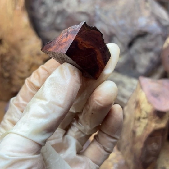 其他黄花梨/降香黄檀喜***山海黄原木