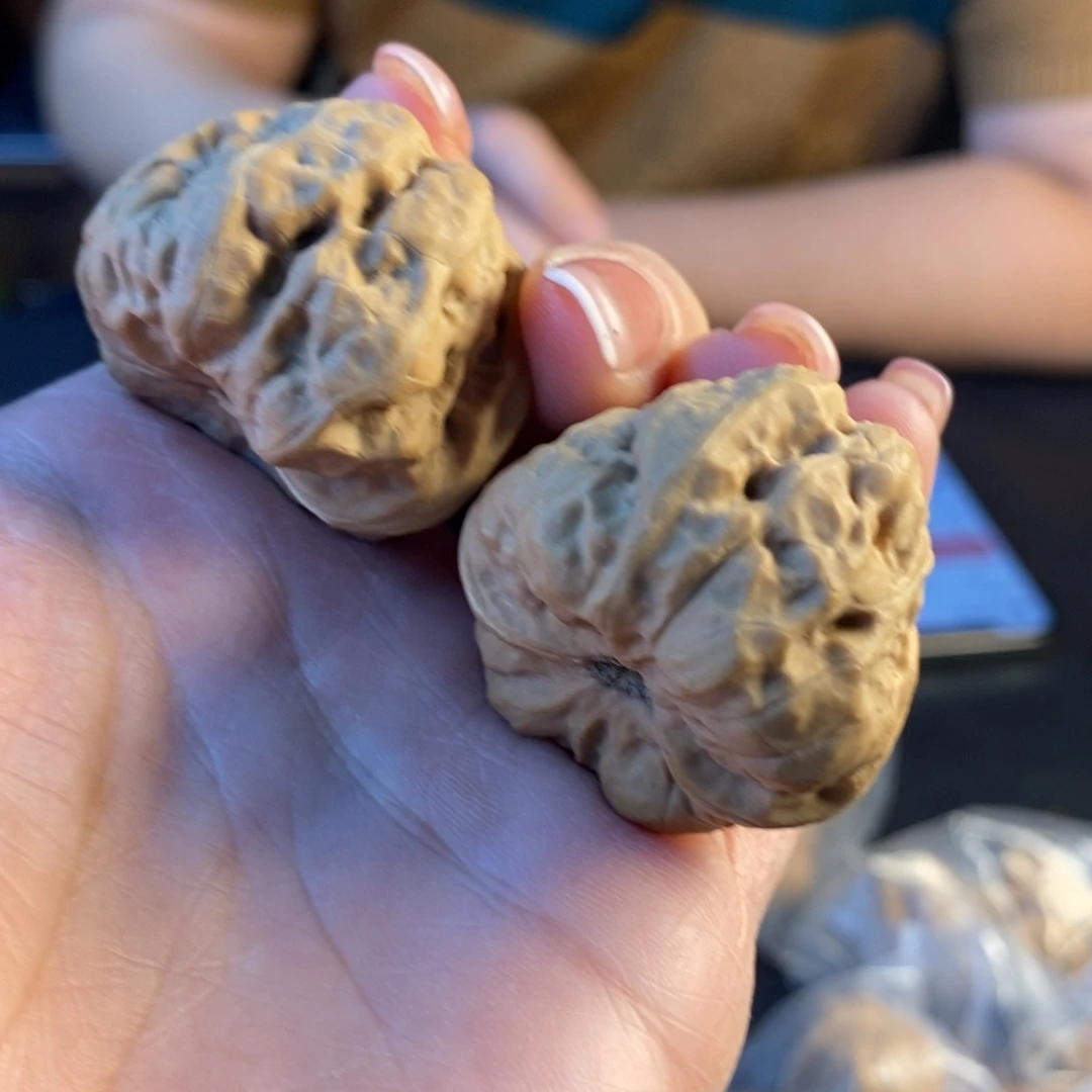 文玩核桃把件蛙蛙20