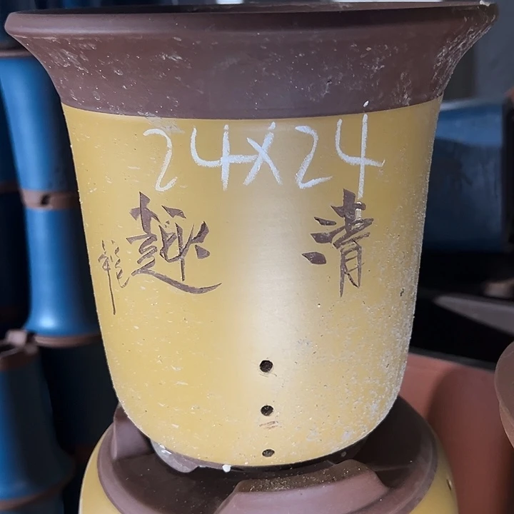 周深周深周深周深周深