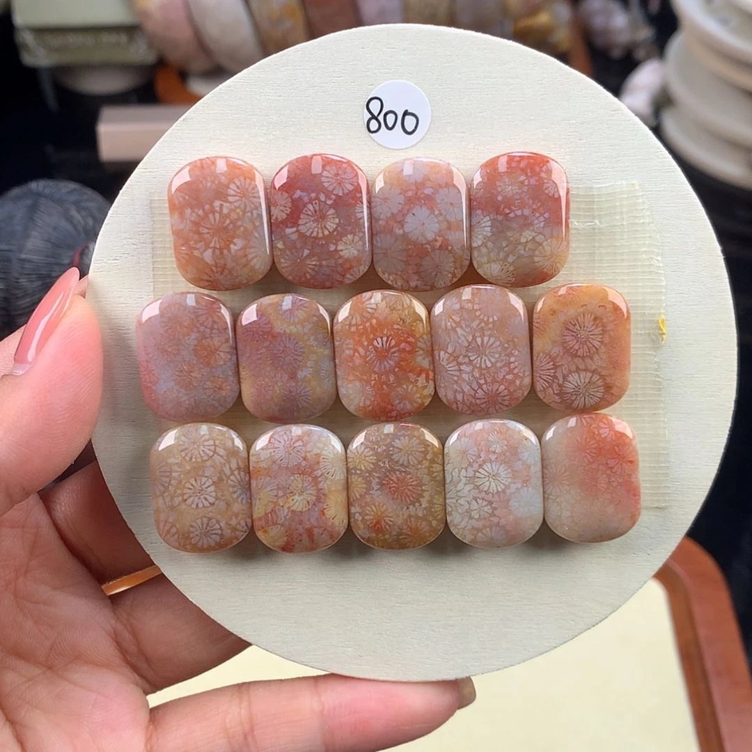 【闪购商品】硅化珊瑚（珊瑚玉）未镶嵌颈饰13号上新精品手牌