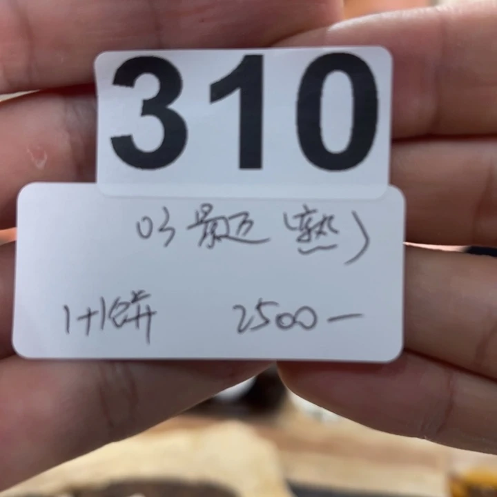 紫砂茶壶310……………..