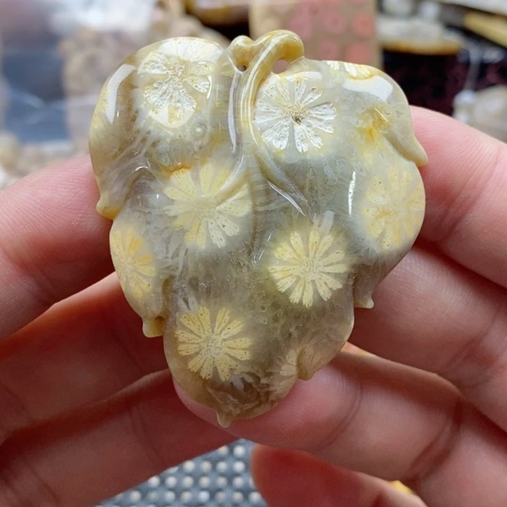 硅化珊瑚（珊瑚玉）颈饰未镶嵌