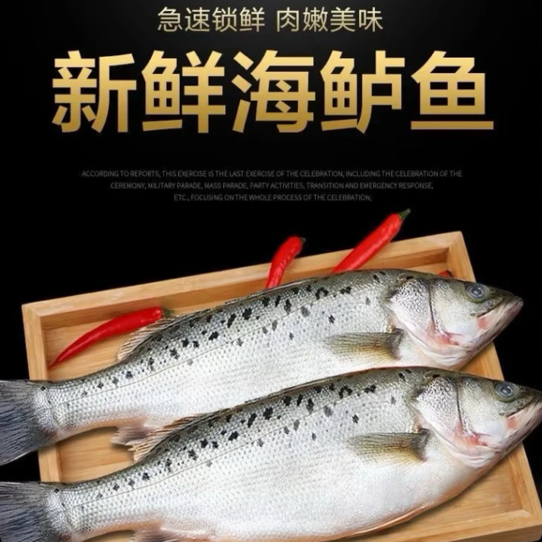 海水鲈鱼1条装1.5-1.8斤左右（配送到家）