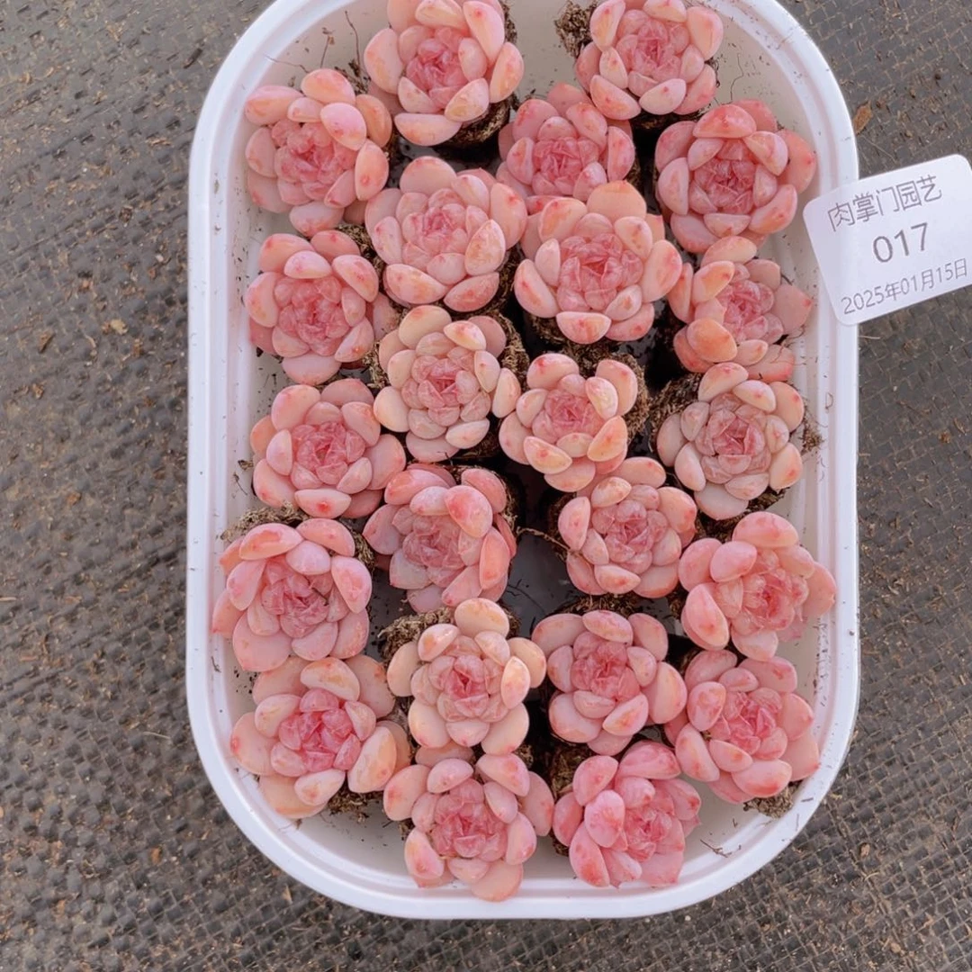 我们的生活方式是什么017