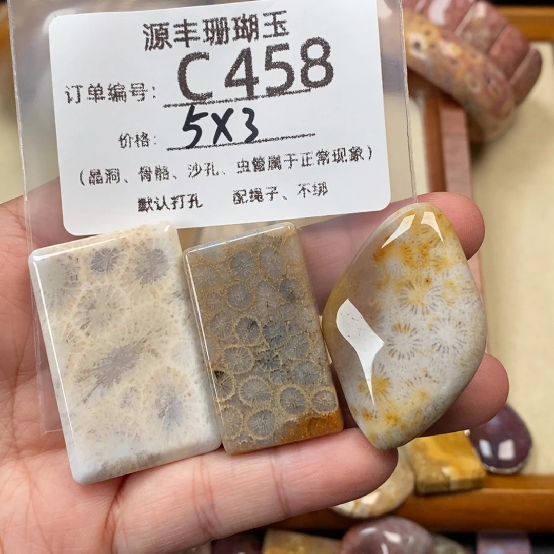 眀***)硅化玉未镶嵌颈饰