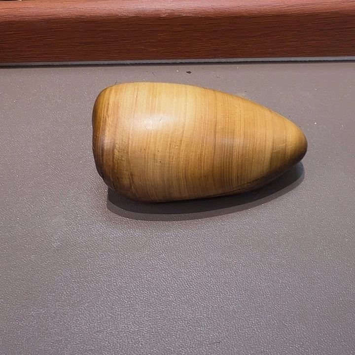 用***8崖柏5545669885554569